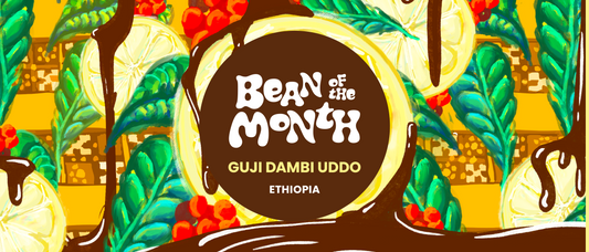 ETHIOPIA GUJI DAMBO UDDO | February 2025